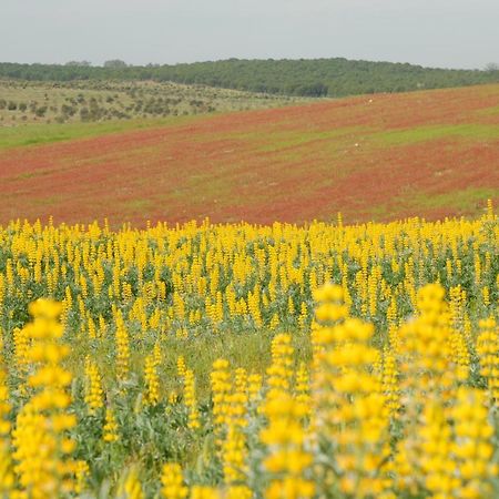 Alcaria Ruiva Casa Da Aldeia II 빌라 외부 사진