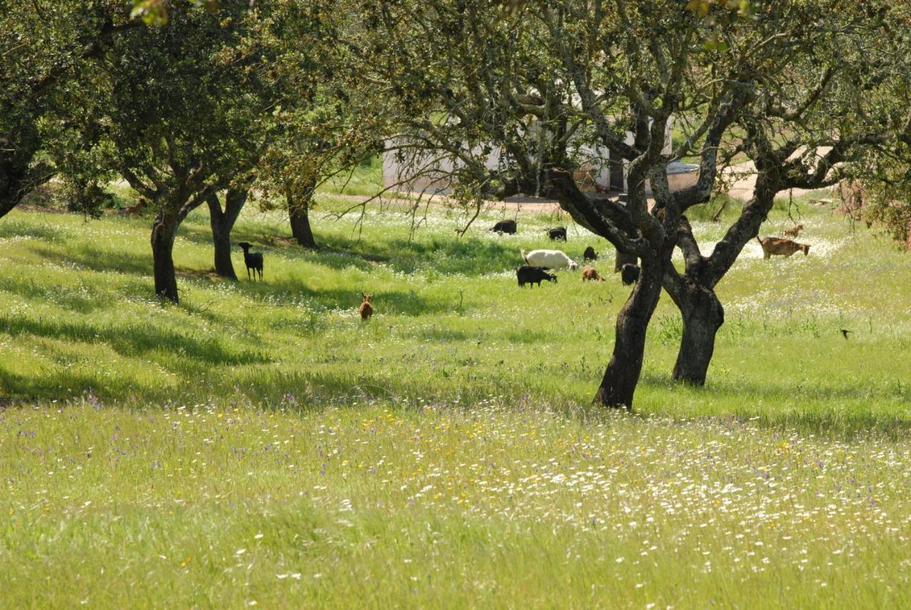 Alcaria Ruiva Casa Da Aldeia II 빌라 외부 사진