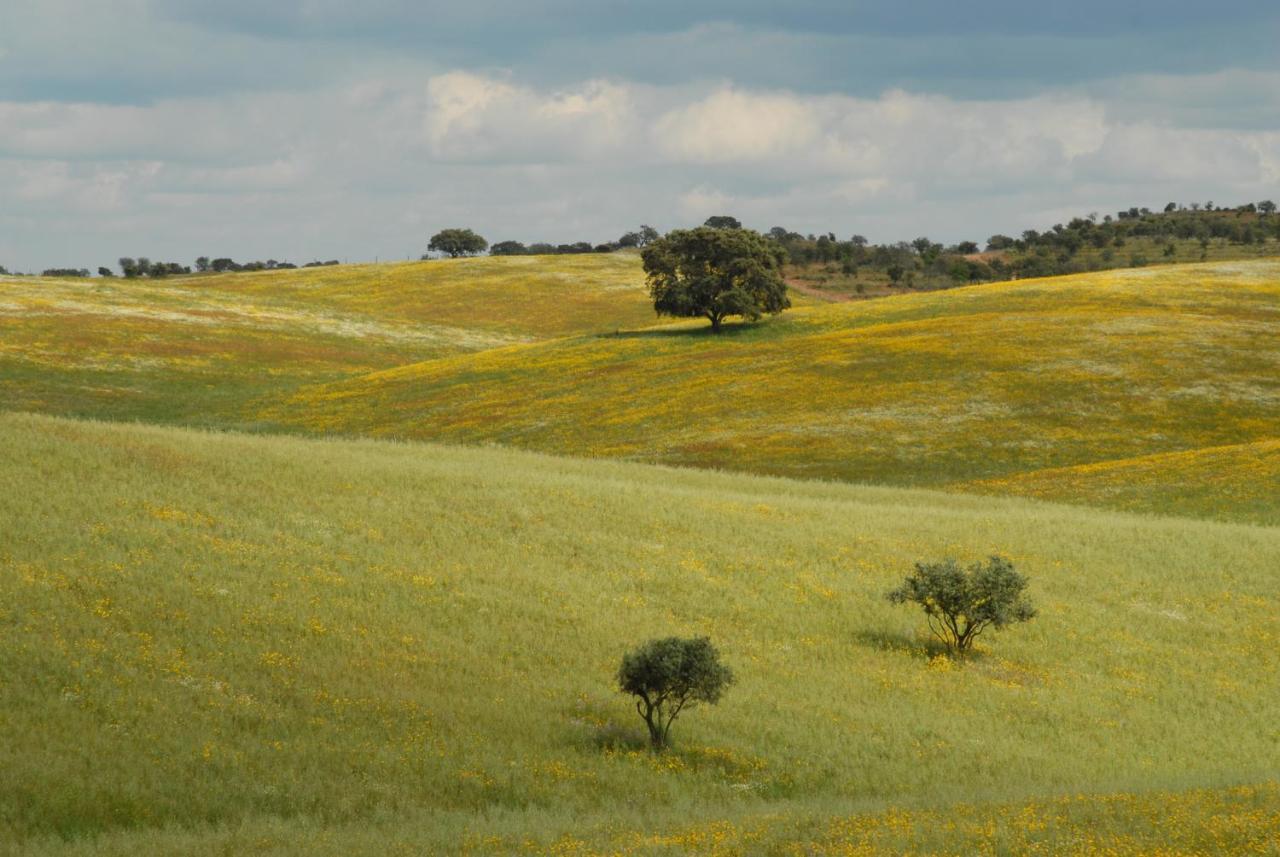 Alcaria Ruiva Casa Da Aldeia II 빌라 외부 사진